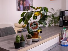 M D.Leonida | 2 cam | Dec | 48mp | 99.900Euro | B12705