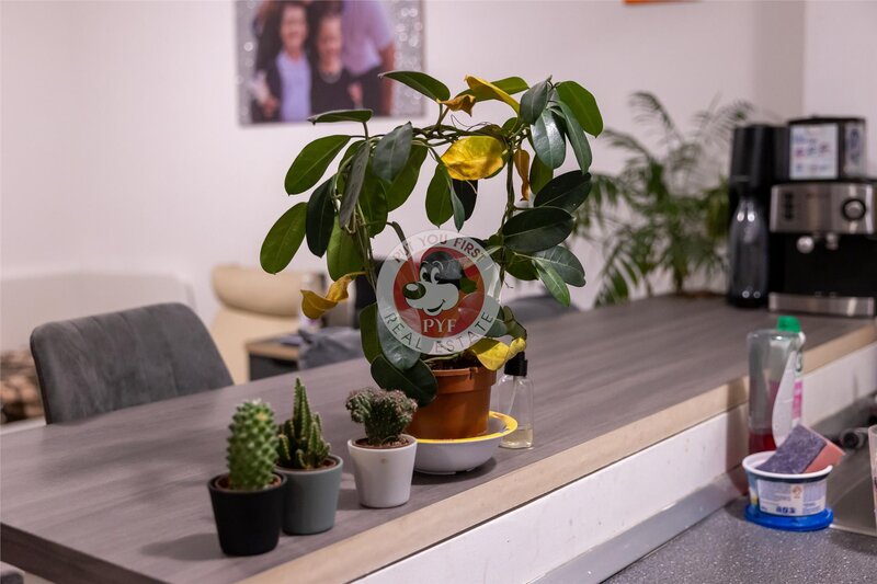 M D.Leonida | 2 cam | Dec | 48mp | 99.900Euro | B12705